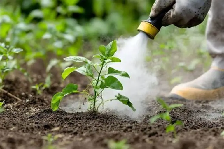 Dictarán una jornada sobre elaboración de fertilizantes, fungicidas e insecticidas para huertas agroecológicas